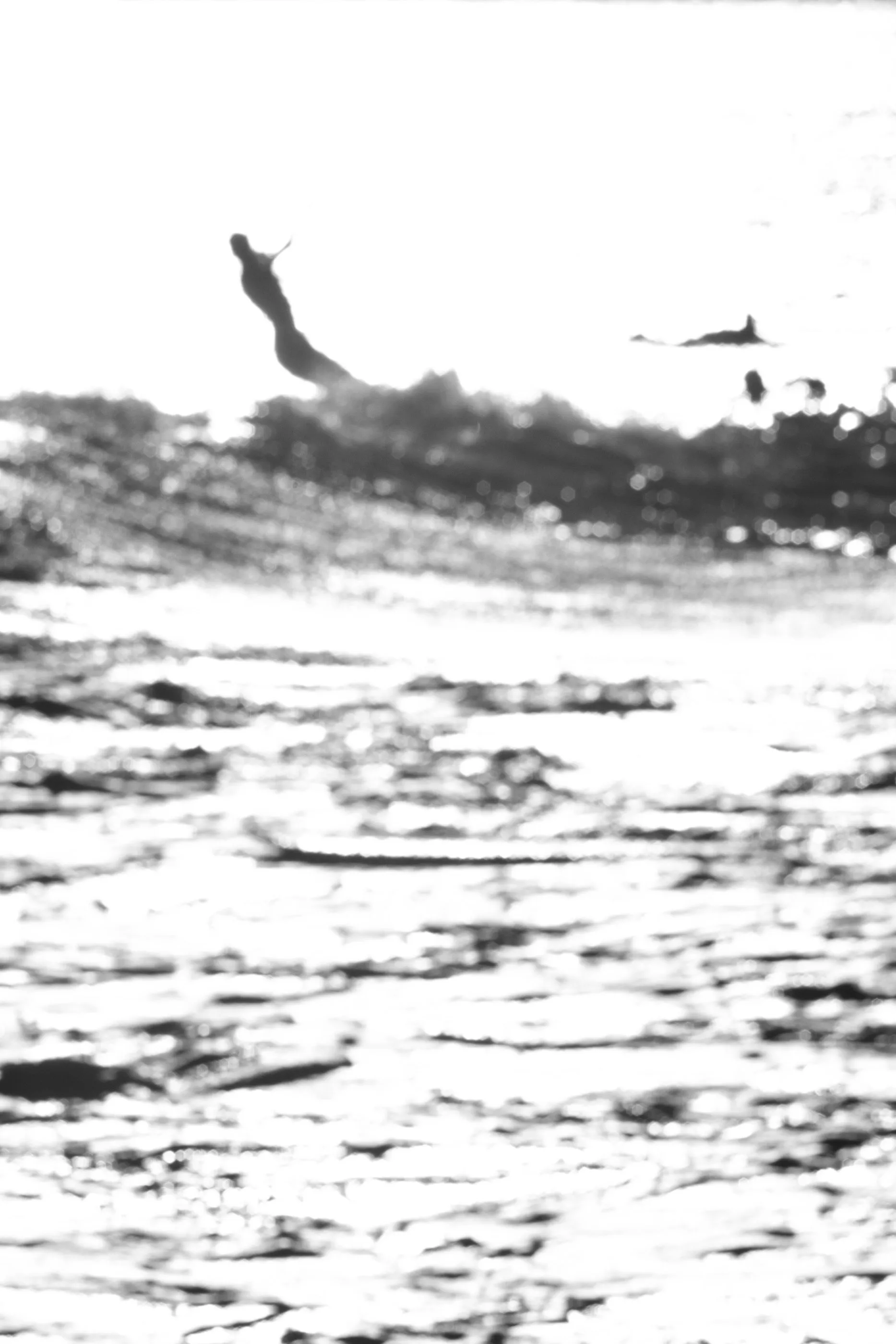 Aliens of Currumbin Beach — frame 02