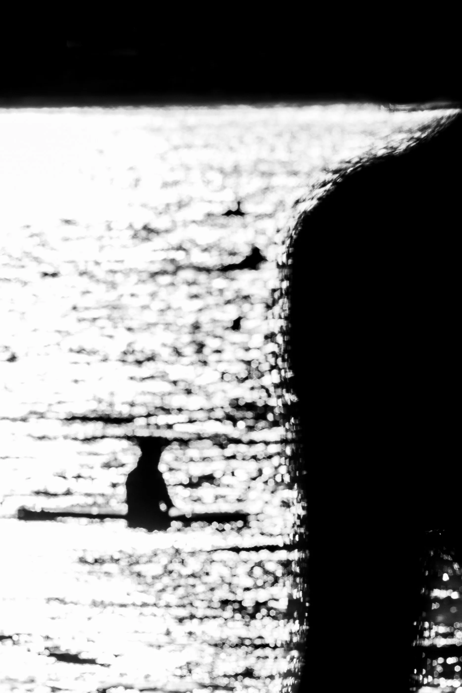 Aliens of Currumbin Beach — frame 03