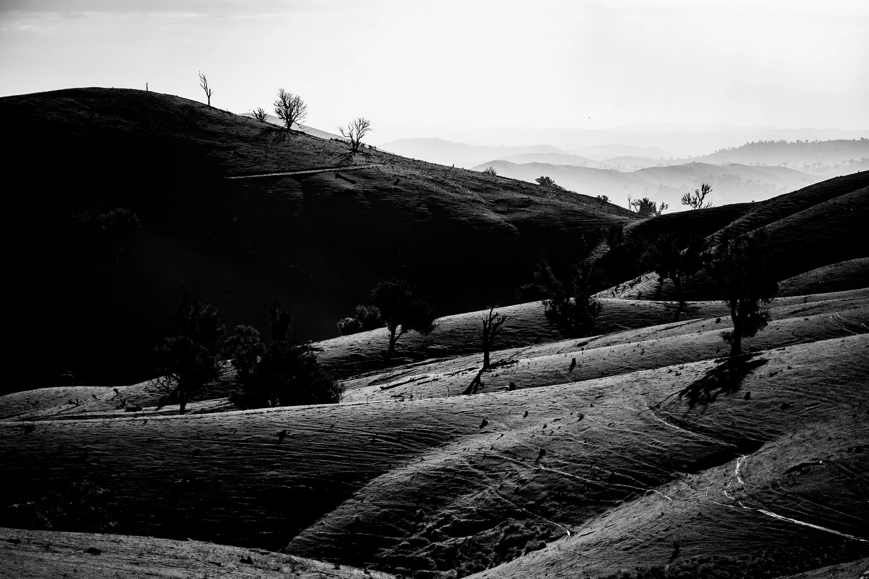 Cootamundra — frame 04