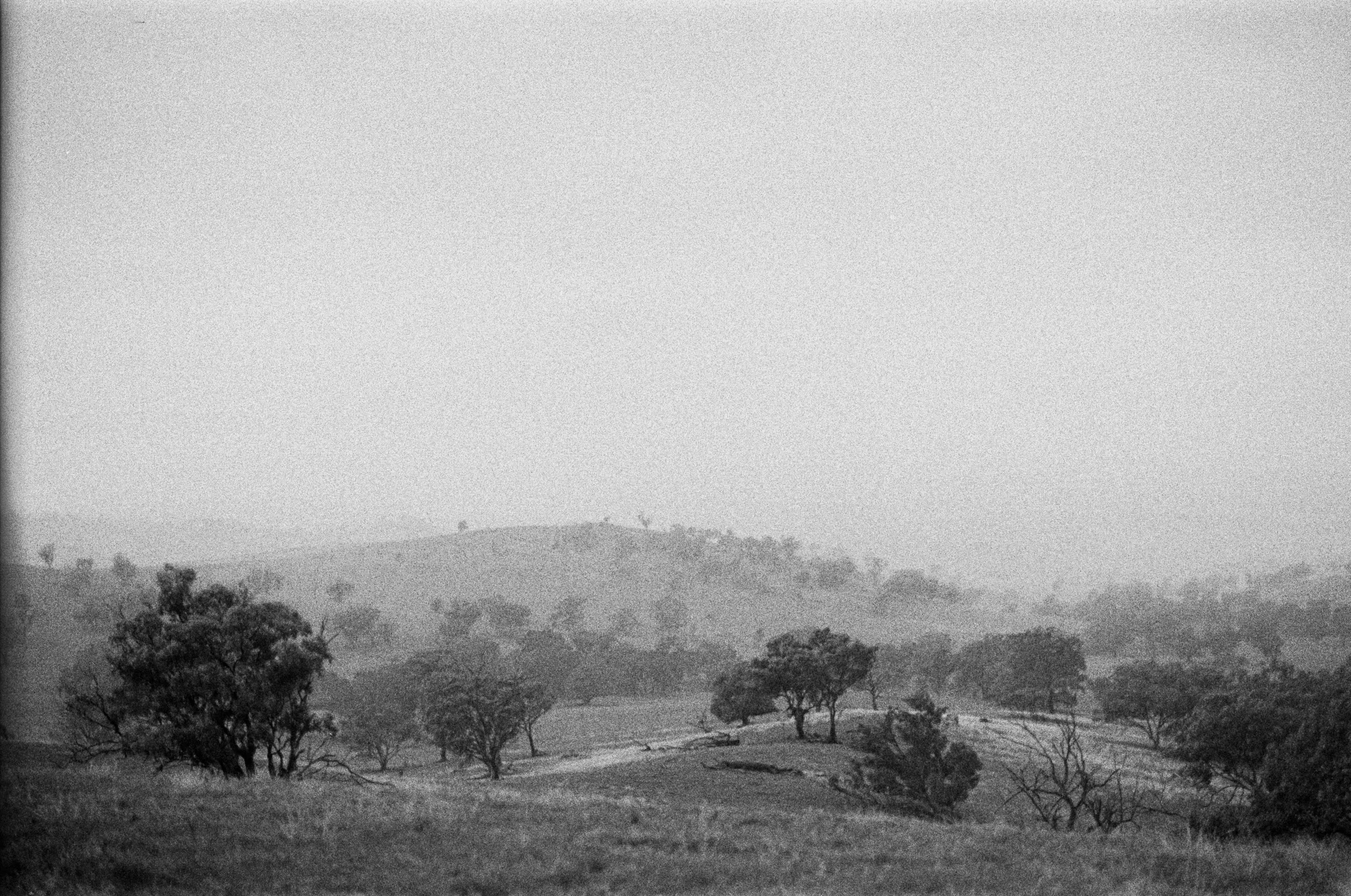 Cootamundra — frame 05