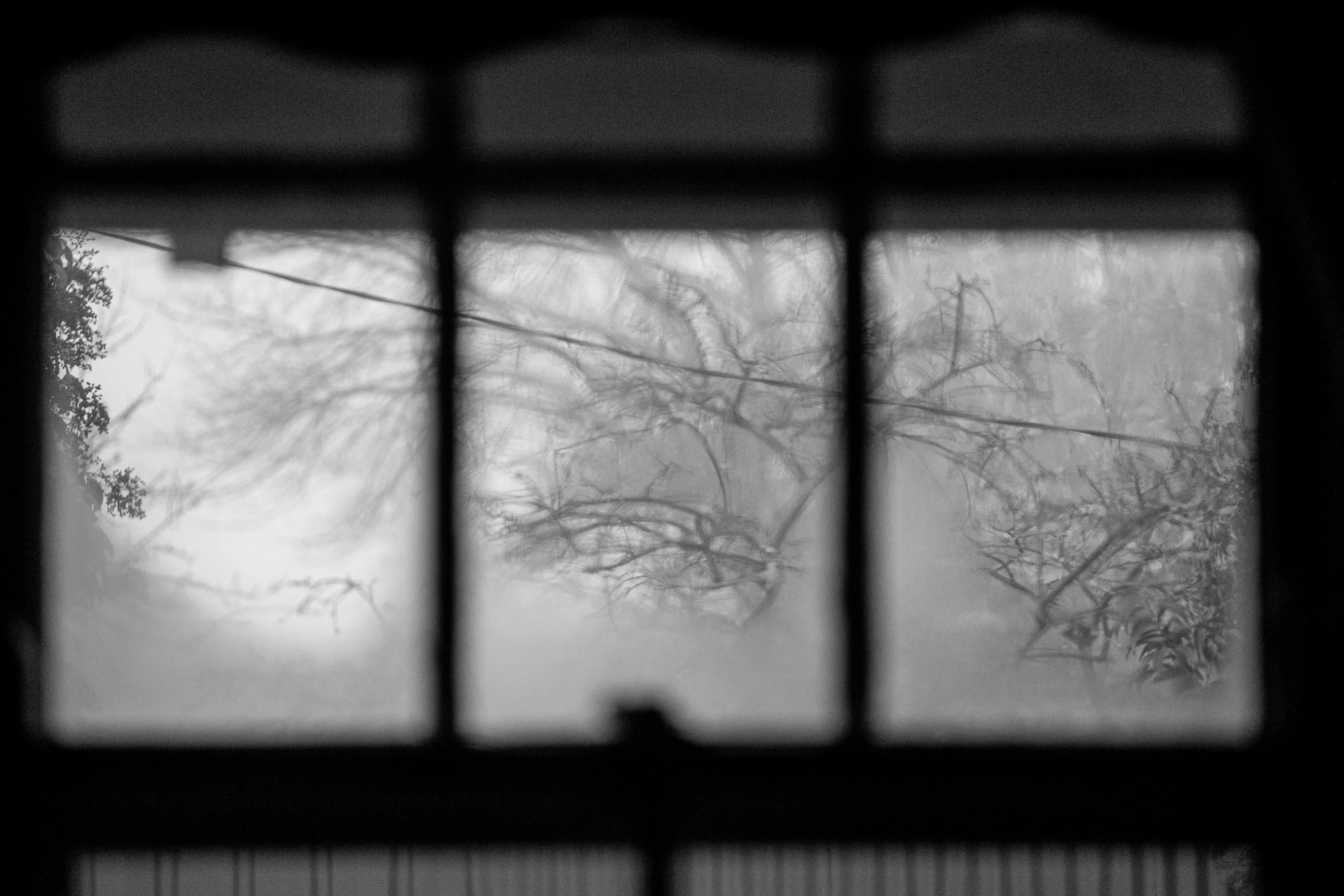 Cootamundra — frame 06