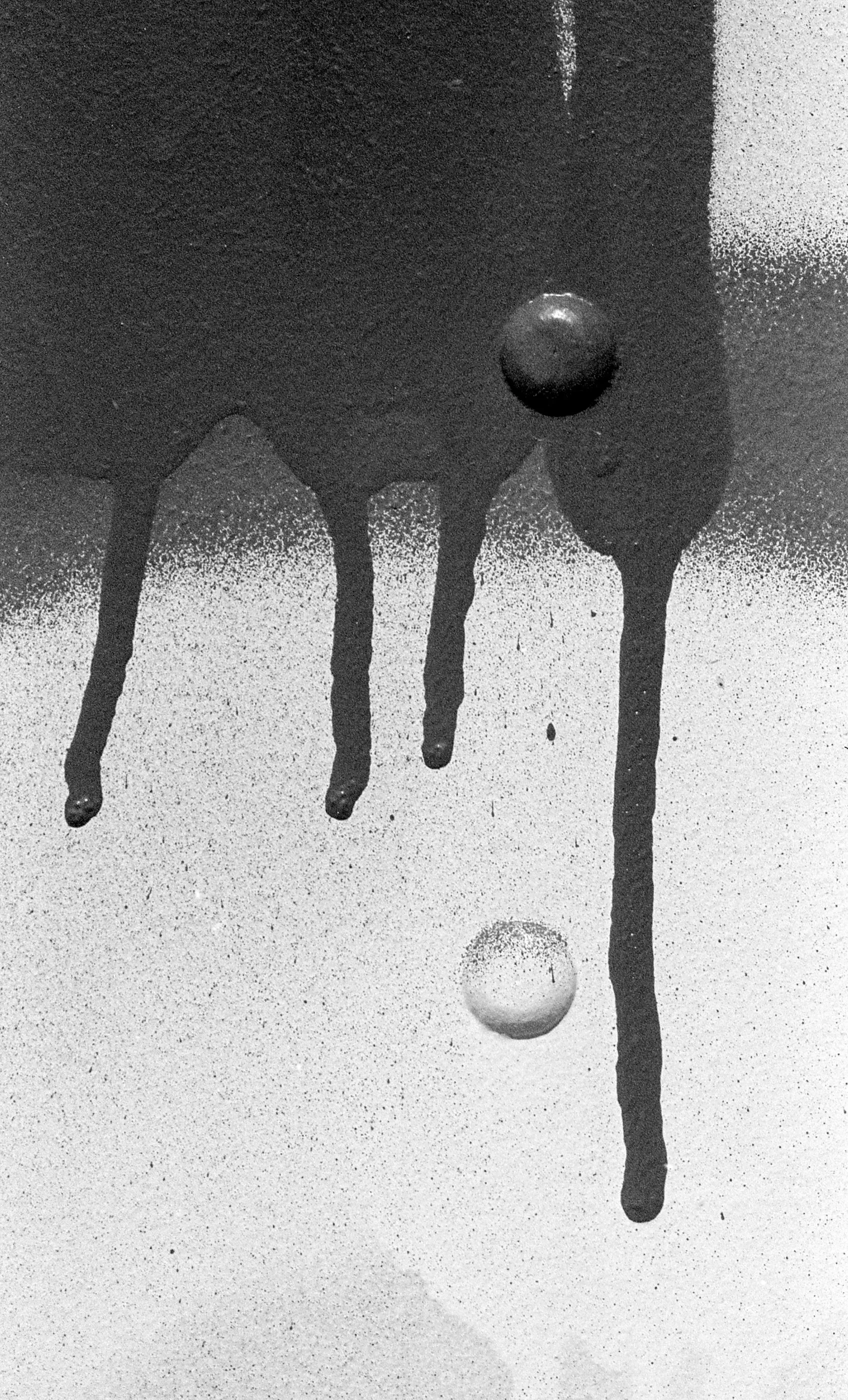 Internal Life of Signs — frame 07