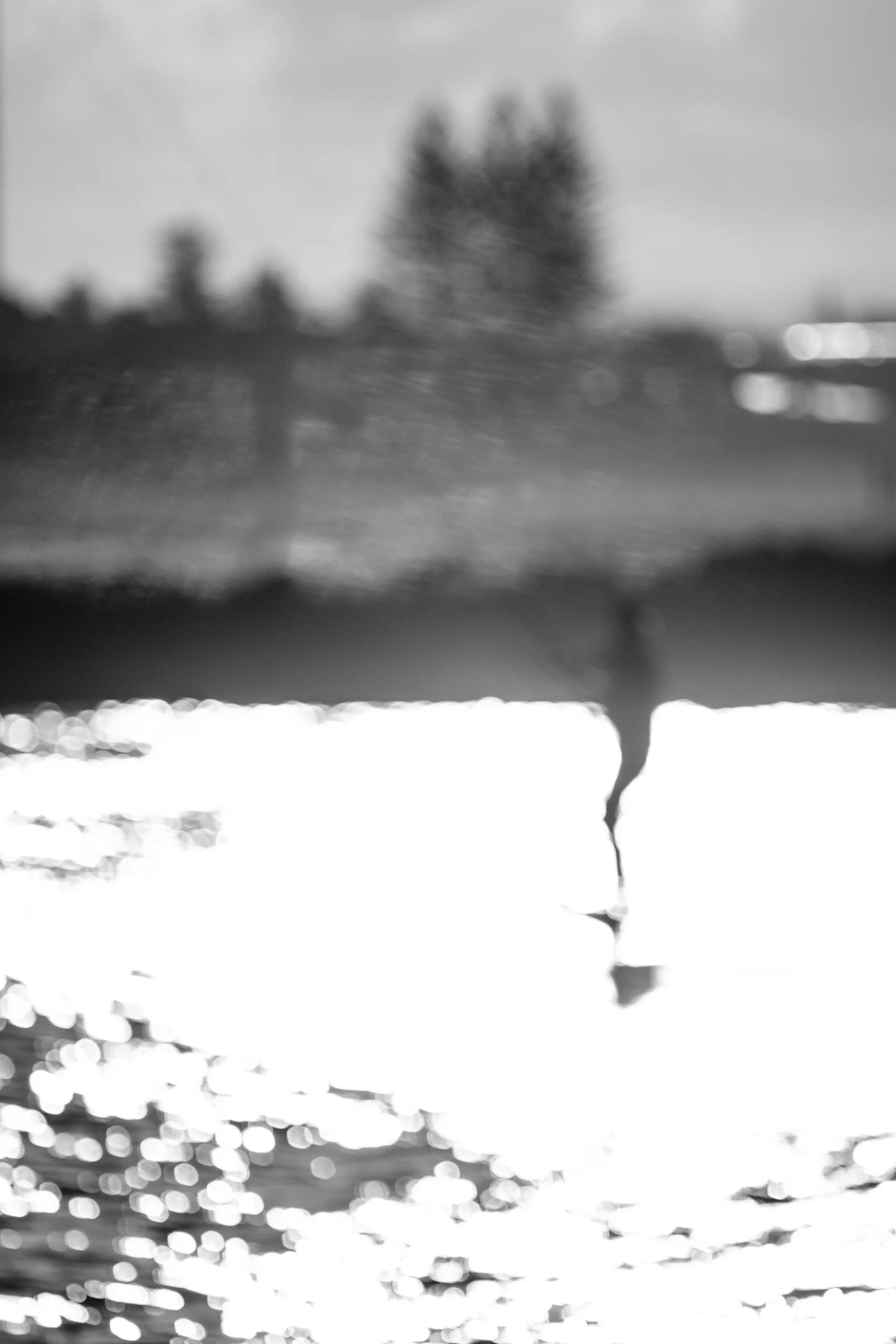Aliens of Currumbin Beach — frame 09
