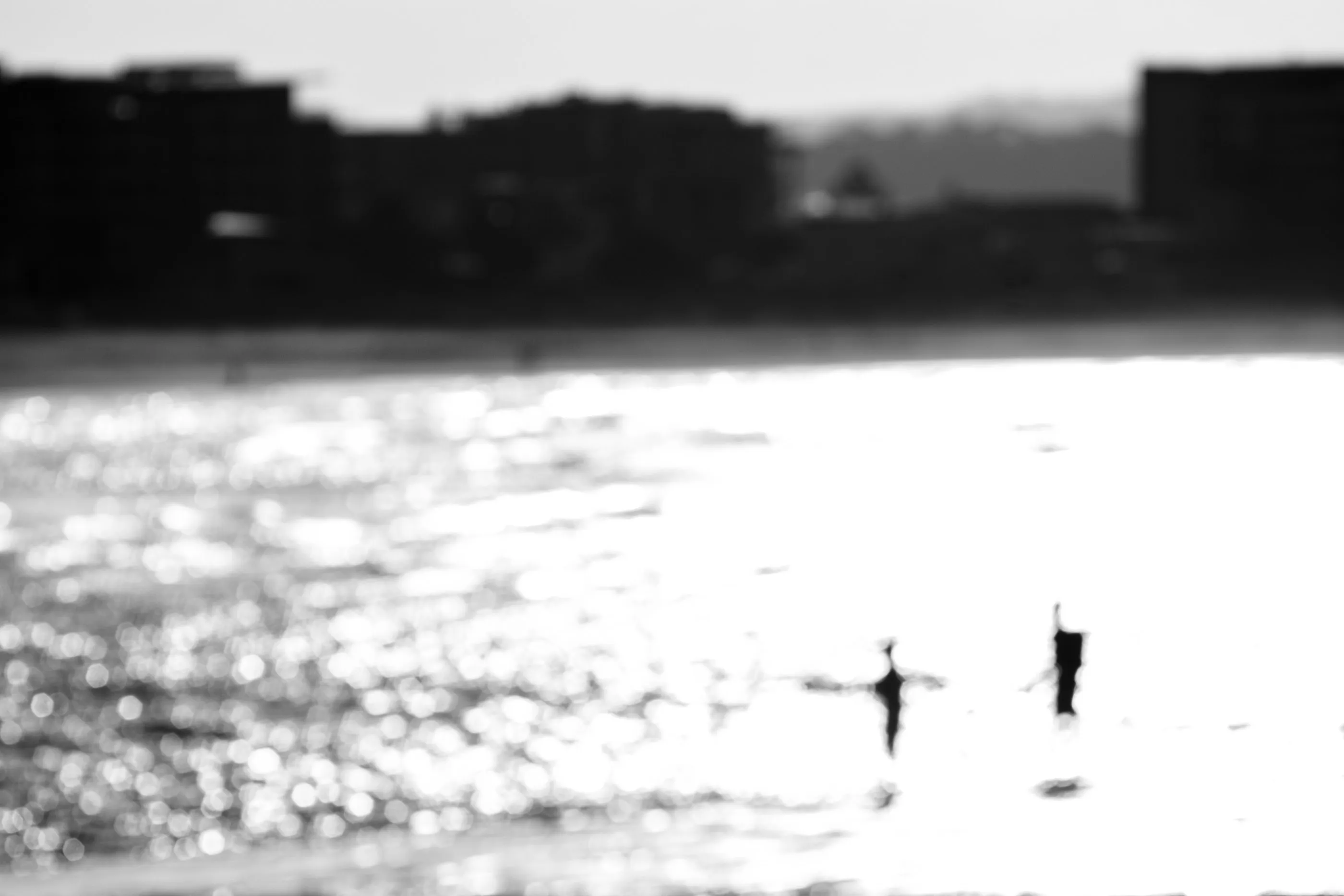 Aliens of Currumbin Beach — frame 10