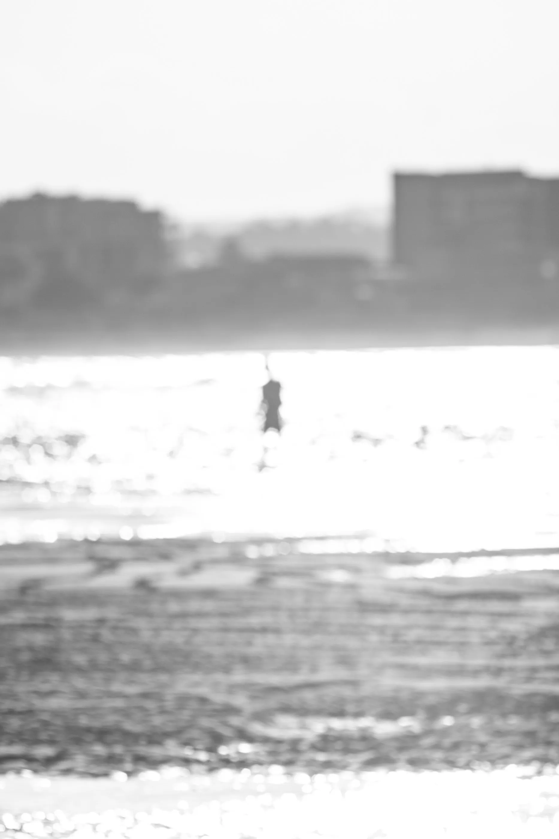 Aliens of Currumbin Beach — frame 11