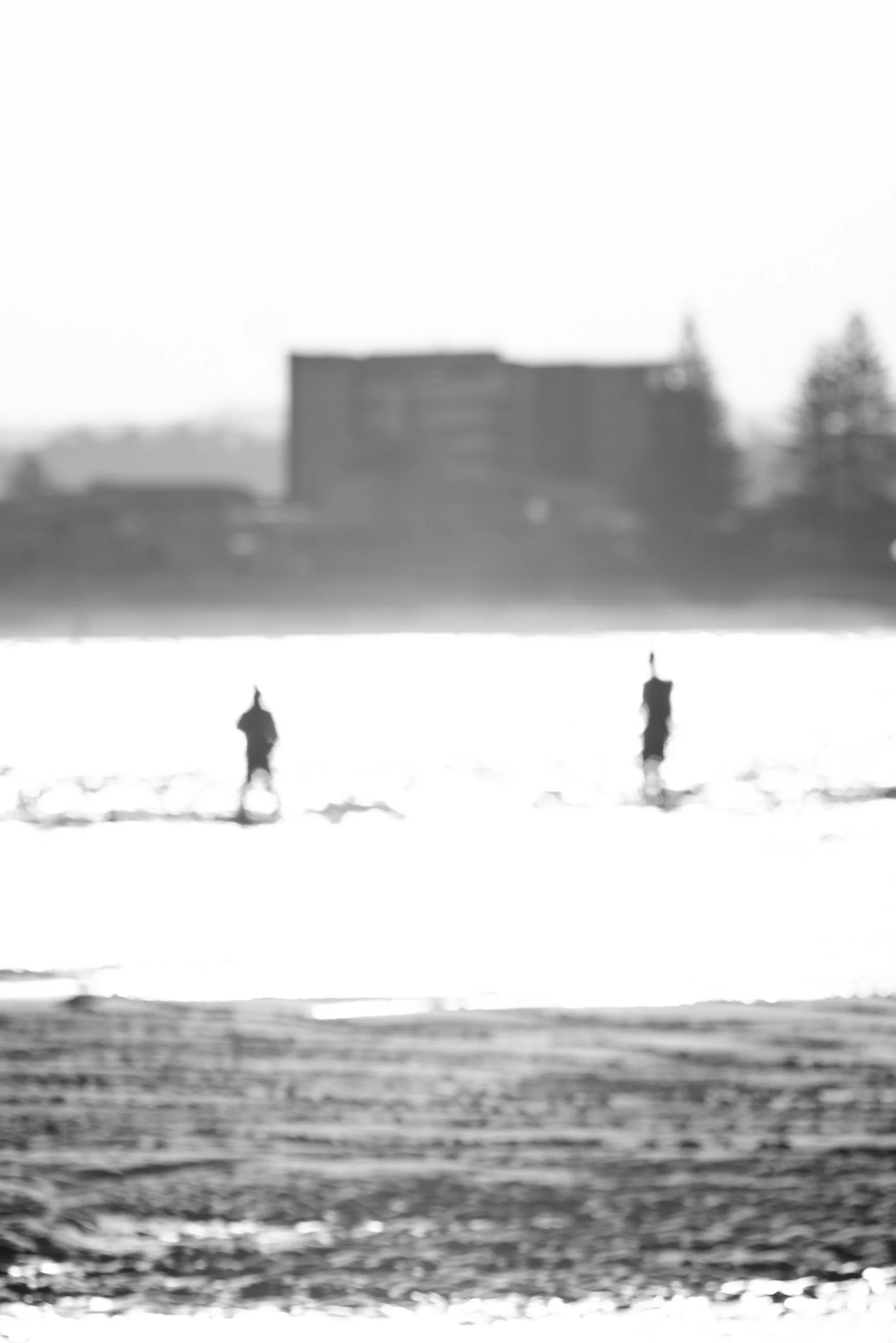Aliens of Currumbin Beach — frame 12