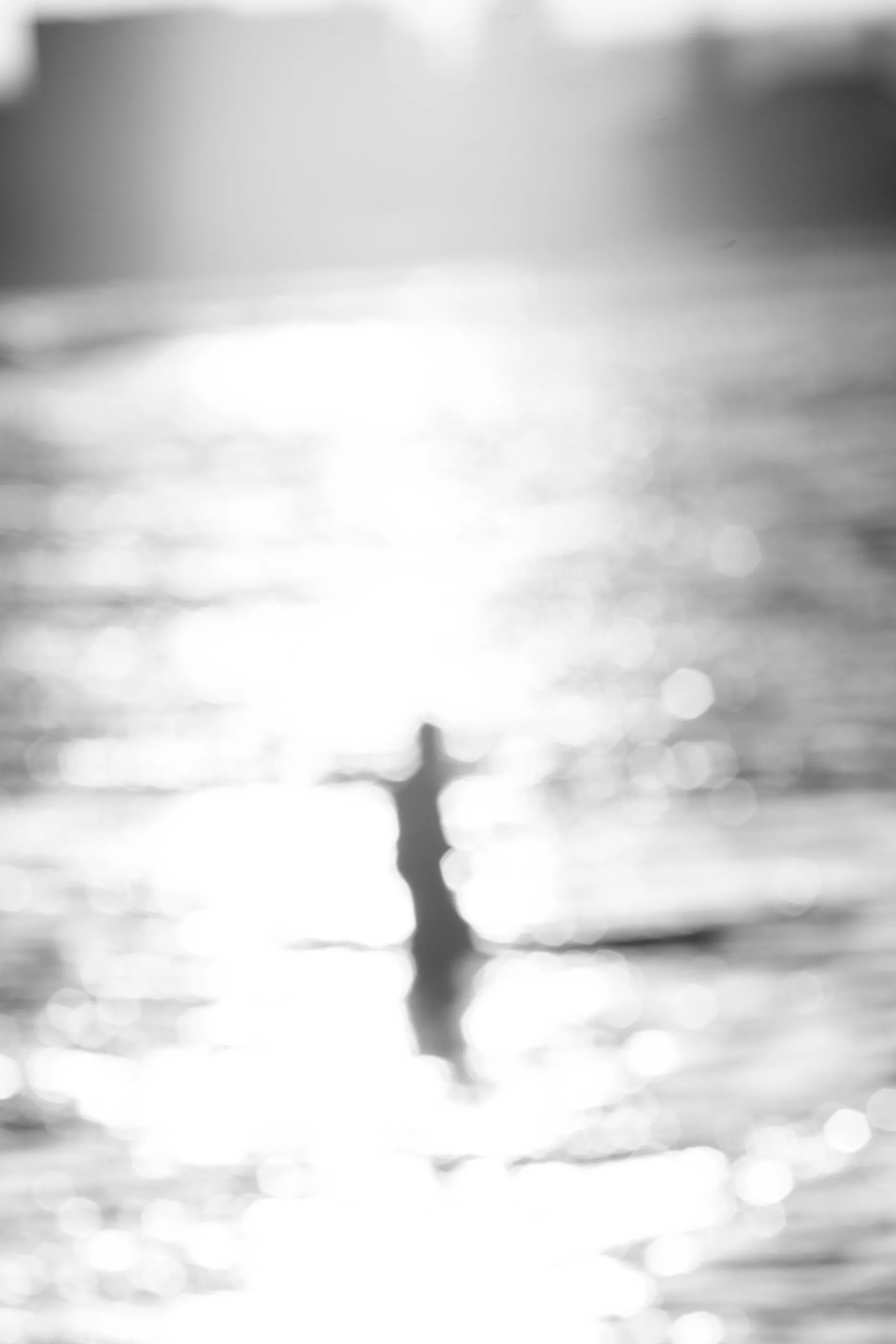 Aliens of Currumbin Beach — frame 14