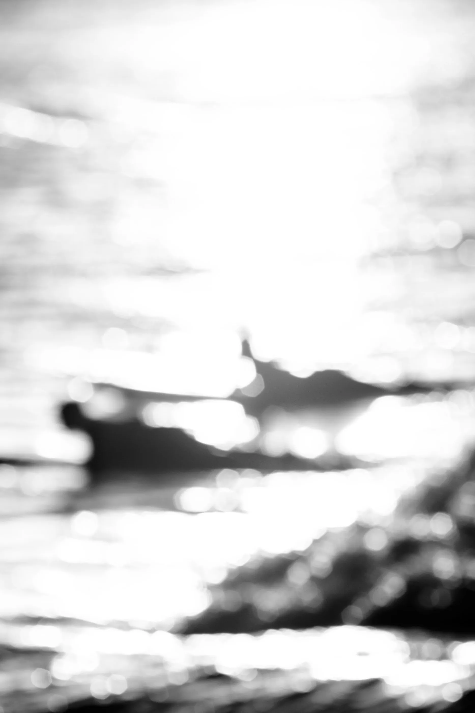 Aliens of Currumbin Beach — frame 15
