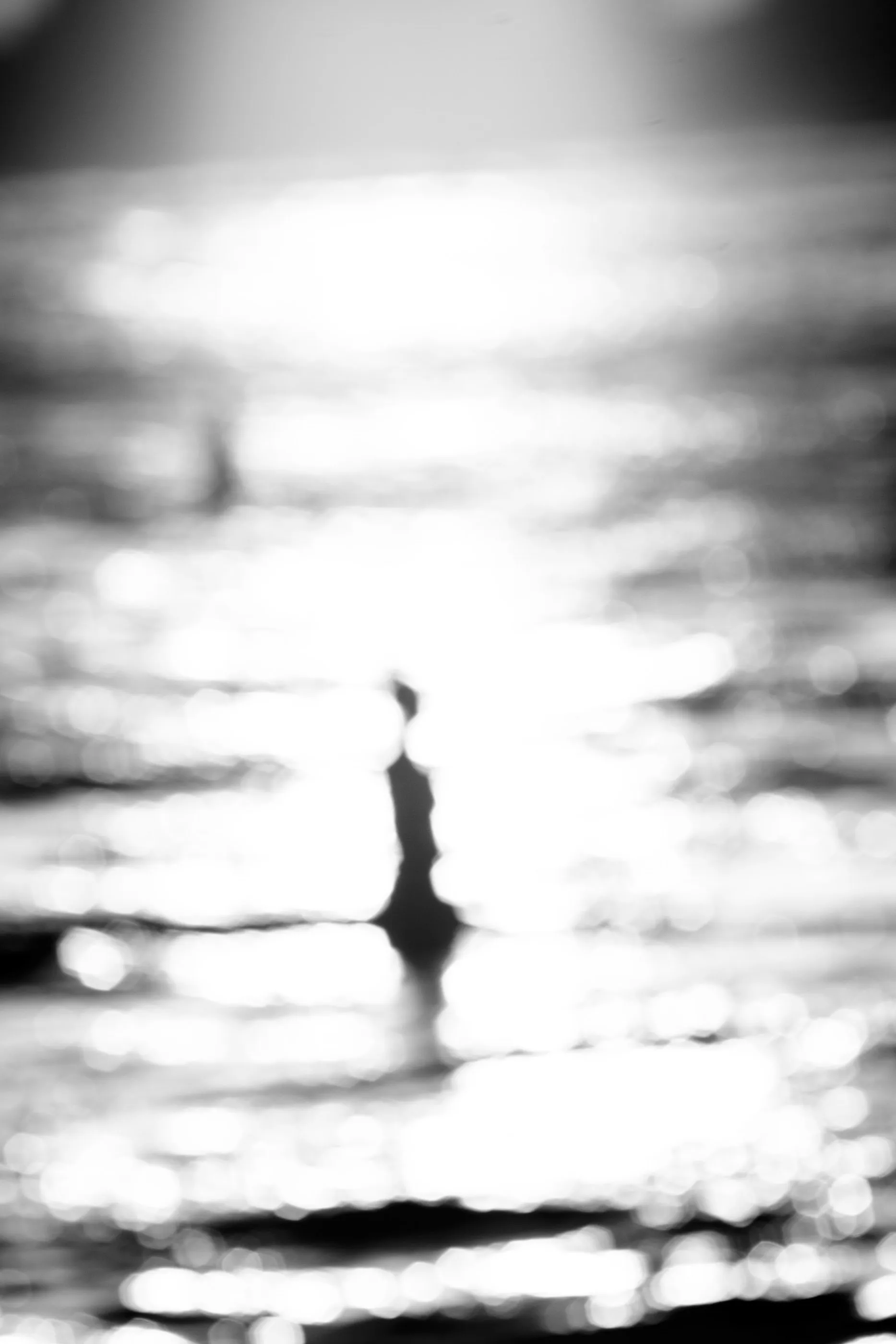 Aliens of Currumbin Beach — frame 16